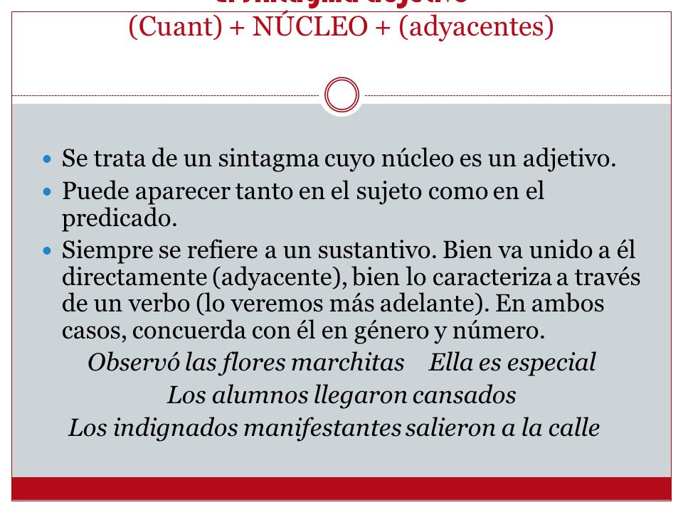 El sintagma adjetivo (Cuant) + NÚCLEO + (adyacentes)