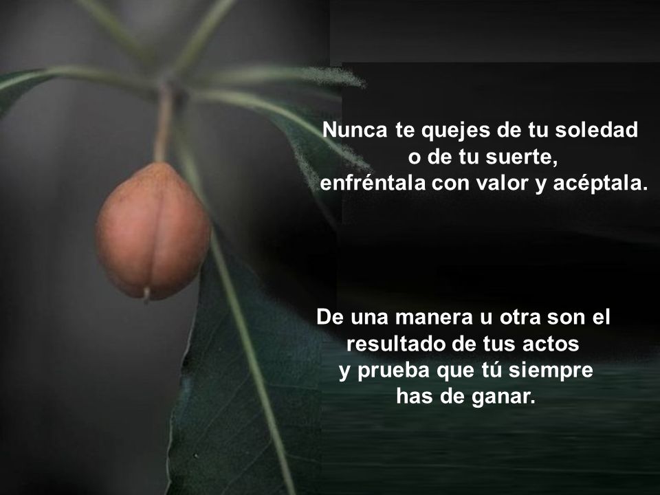 Nunca te quejes de tu soledad o de tu suerte,
