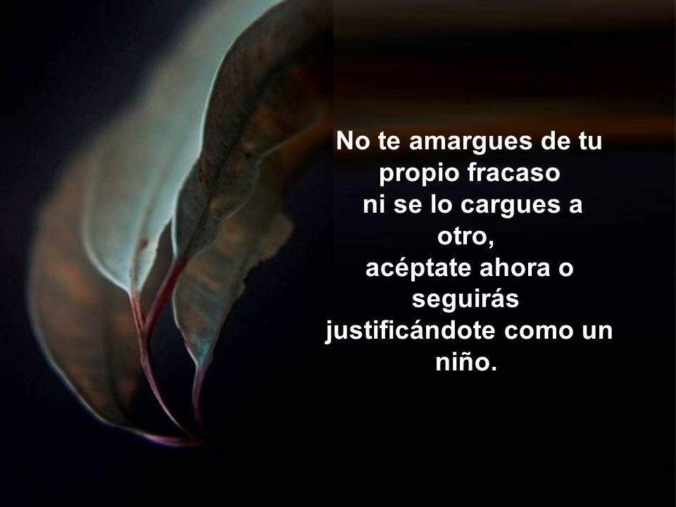 No te amargues de tu propio fracaso ni se lo cargues a otro,