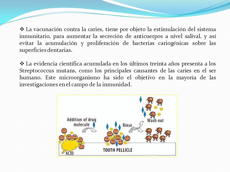 La vacunación contra la caries, tiene por objeto la estimulación del sistema inmunitario, para aumentar la secreción de anticuerpos a nivel salival, y así evitar la acumulación y proliferación de bacterias cariogénicas sobre las superficies dentarias.