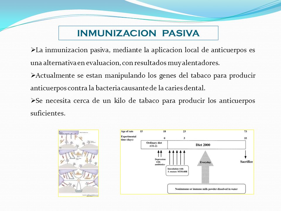 INMUNIZACION PASIVA