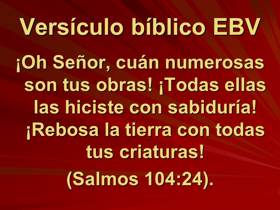 Versículo bíblico EBV ¡Oh Señor, cuán numerosas son tus obras! ¡Todas ellas las hiciste con sabiduría! ¡Rebosa la tierra con todas tus criaturas!