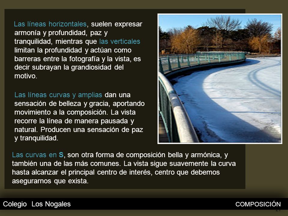 Las líneas horizontales, suelen expresar armonía y profundidad, paz y tranquilidad, mientras que las verticales limitan la profundidad y actúan como barreras entre la fotografía y la vista, es decir subrayan la grandiosidad del motivo. Las líneas curvas y amplias dan una sensación de belleza y gracia, aportando movimiento a la composición. La vista recorre la línea de manera pausada y natural. Producen una sensación de paz y tranquilidad.