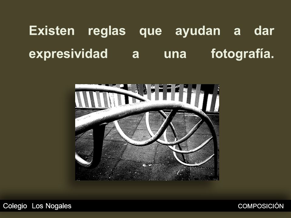 Existen reglas que ayudan a dar expresividad a una fotografía.