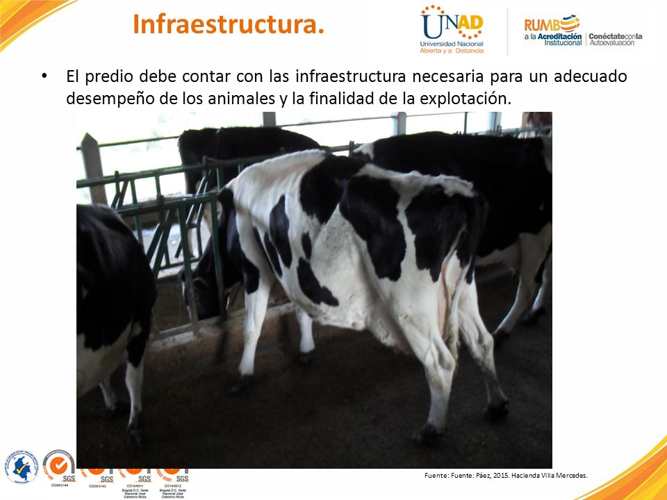 Infraestructura. El predio debe contar con las infraestructura necesaria para un adecuado desempeño de los animales y la finalidad de la explotación.