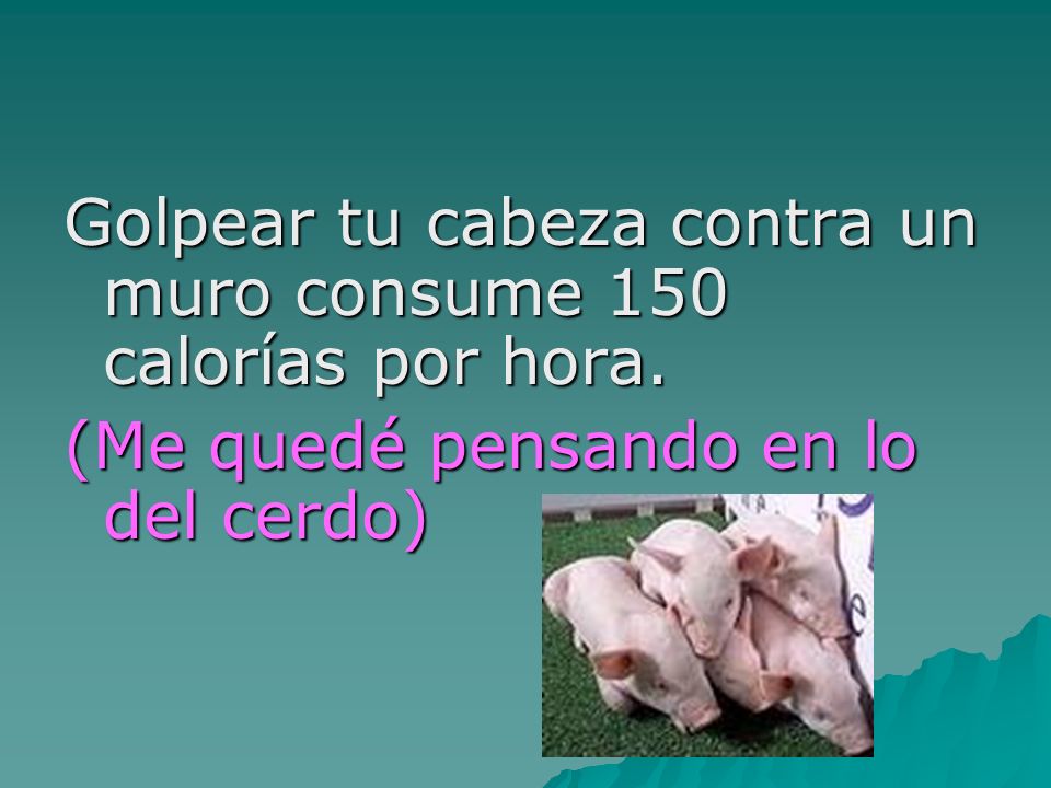 Golpear tu cabeza contra un muro consume 150 calorías por hora.