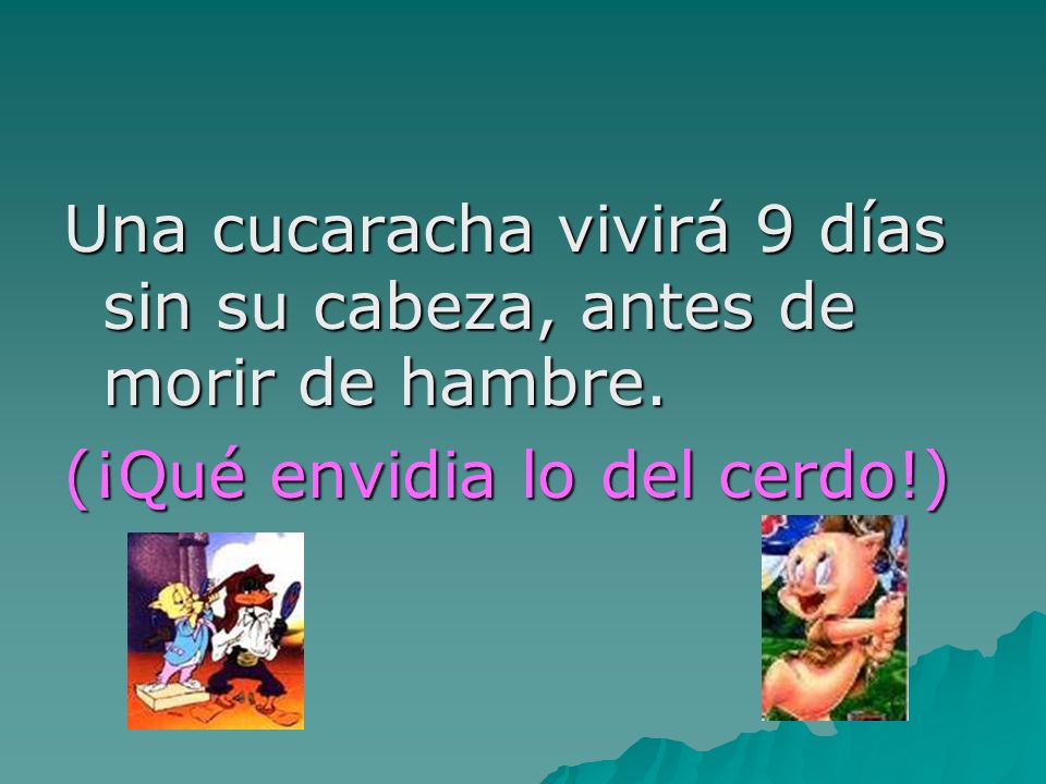 Una cucaracha vivirá 9 días sin su cabeza, antes de morir de hambre.