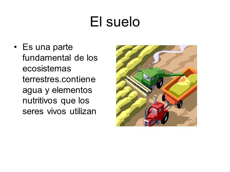 El suelo Es una parte fundamental de los ecosistemas terrestres.contiene agua y elementos nutritivos que los seres vivos utilizan.