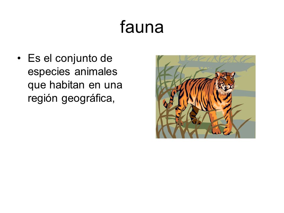 fauna Es el conjunto de especies animales que habitan en una región geográfica,