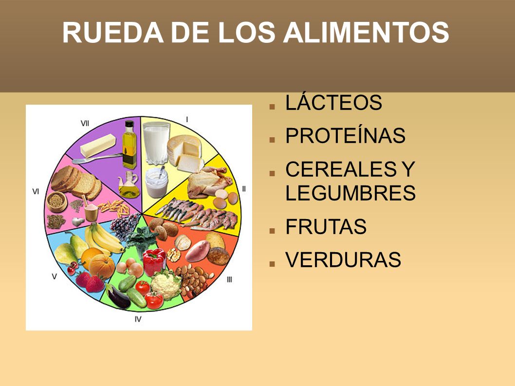 RUEDA DE LOS ALIMENTOS LÁCTEOS PROTEÍNAS CEREALES Y LEGUMBRES FRUTAS