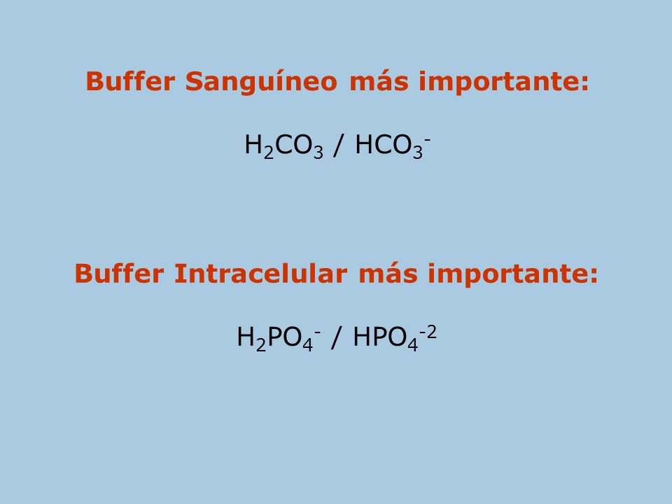 Buffer Sanguíneo más importante: Buffer Intracelular más importante: