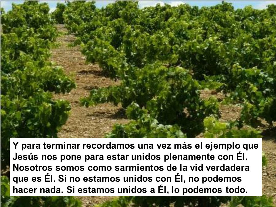 Y para terminar recordamos una vez más el ejemplo que Jesús nos pone para estar unidos plenamente con Él.