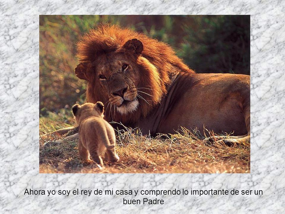 Ahora yo soy el rey de mi casa y comprendo lo importante de ser un buen Padre