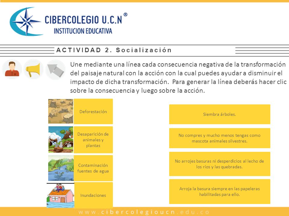 Texto alternativo: Imagen donde se presentan varios trozos de árboles que han sido talados.