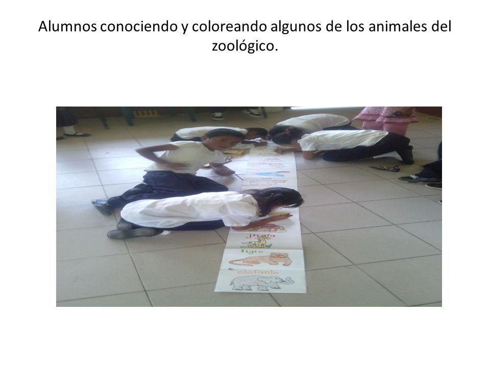 Alumnos conociendo y coloreando algunos de los animales del zoológico.