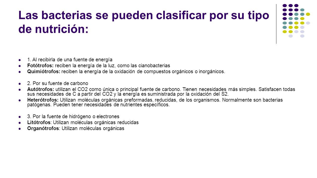 Las bacterias se pueden clasificar por su tipo de nutrición: