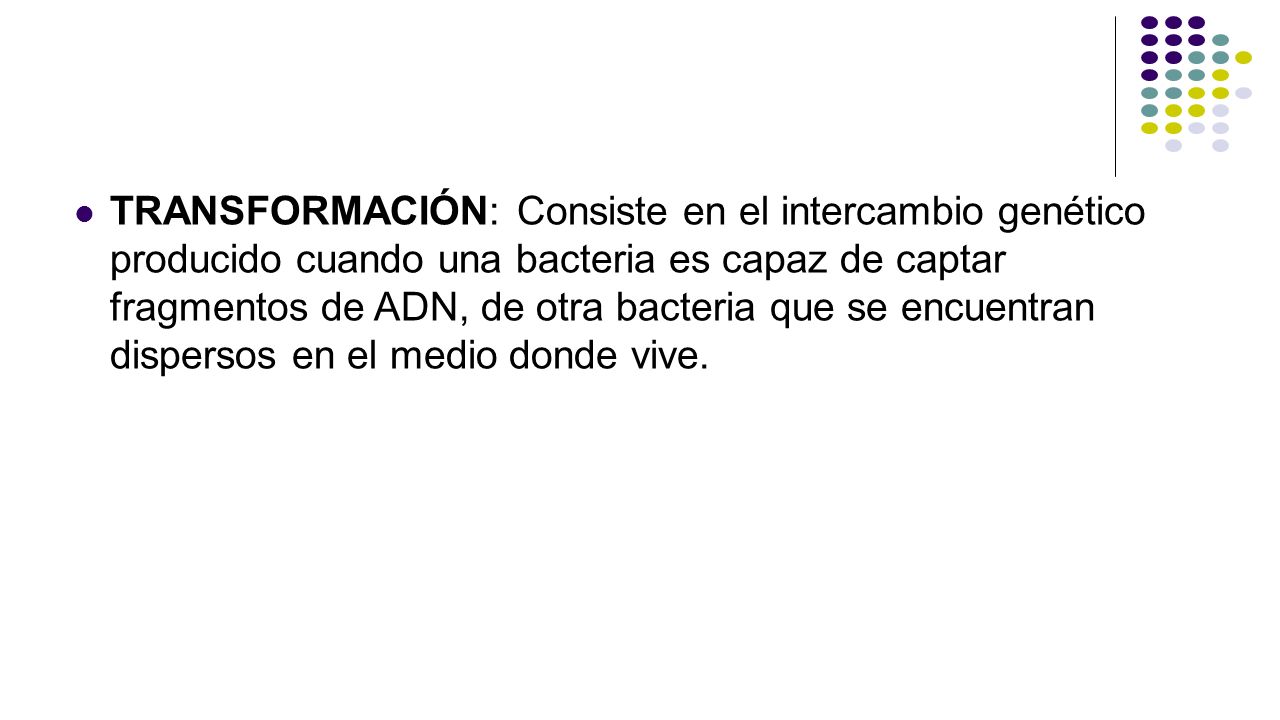 TRANSFORMACIÓN: Consiste en el intercambio genético producido cuando una bacteria es capaz de captar fragmentos de ADN, de otra bacteria que se encuentran dispersos en el medio donde vive.