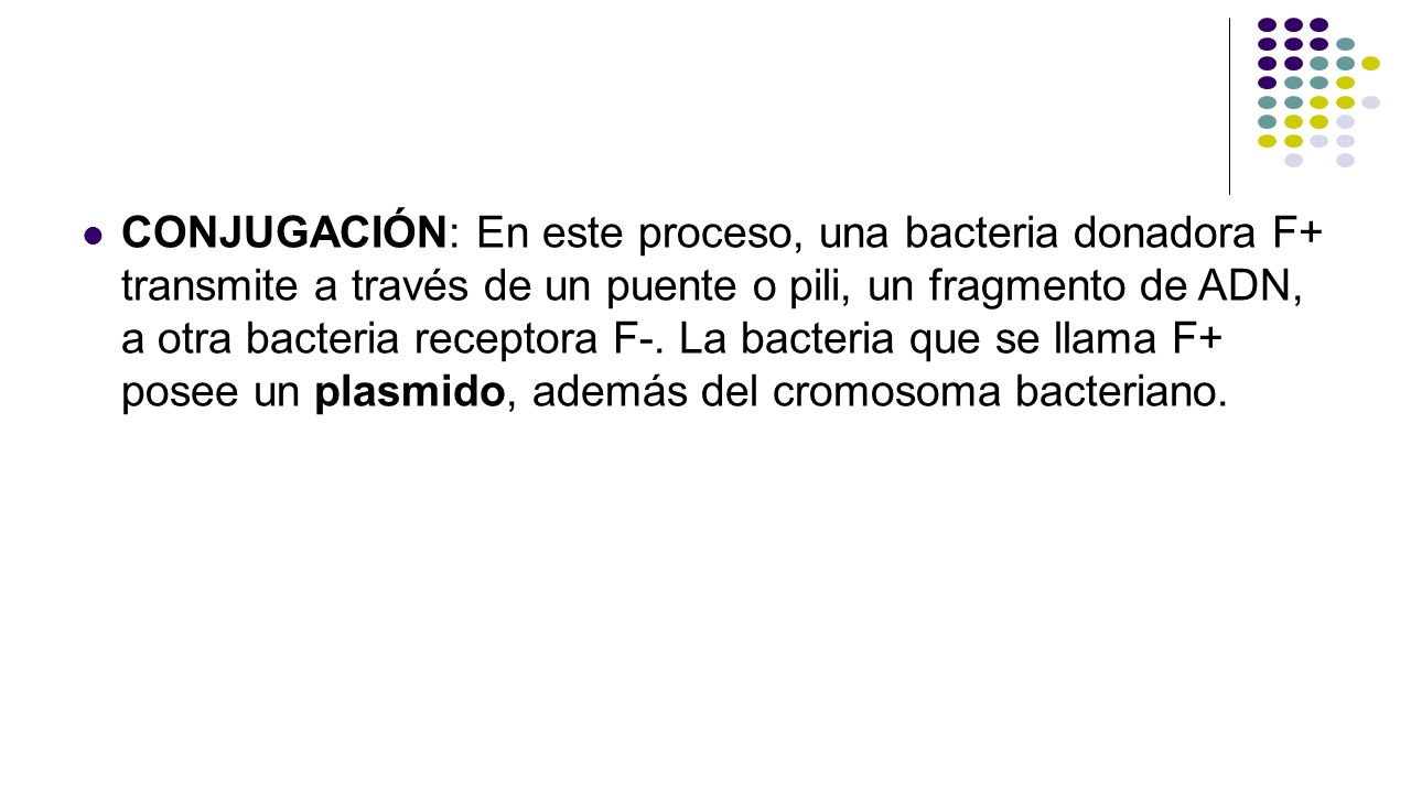 CONJUGACIÓN: En este proceso, una bacteria donadora F+ transmite a través de un puente o pili, un fragmento de ADN, a otra bacteria receptora F-.