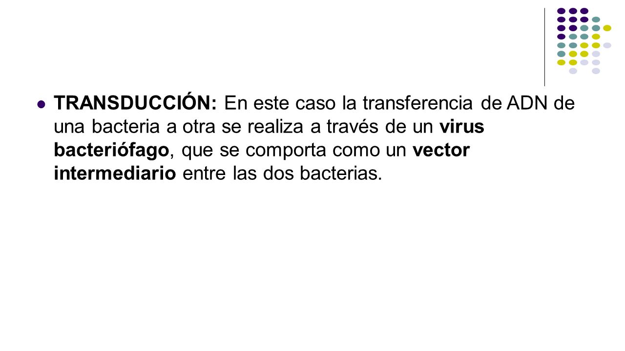 TRANSDUCCIÓN: En este caso la transferencia de ADN de una bacteria a otra se realiza a través de un virus bacteriófago, que se comporta como un vector intermediario entre las dos bacterias.