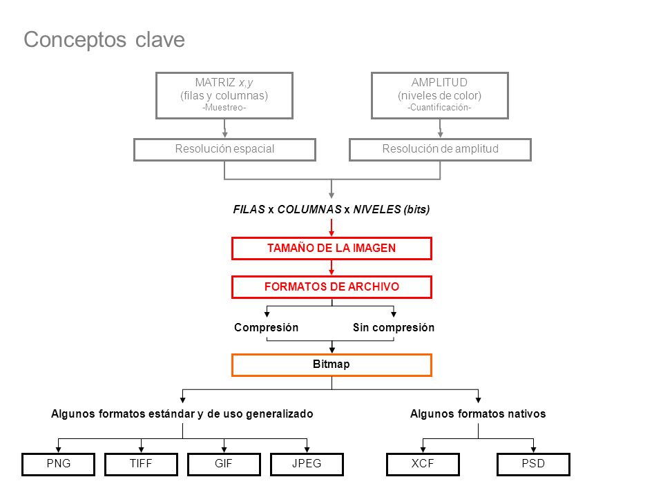 Conceptos clave Algunos formatos estándar y de uso generalizado XCF