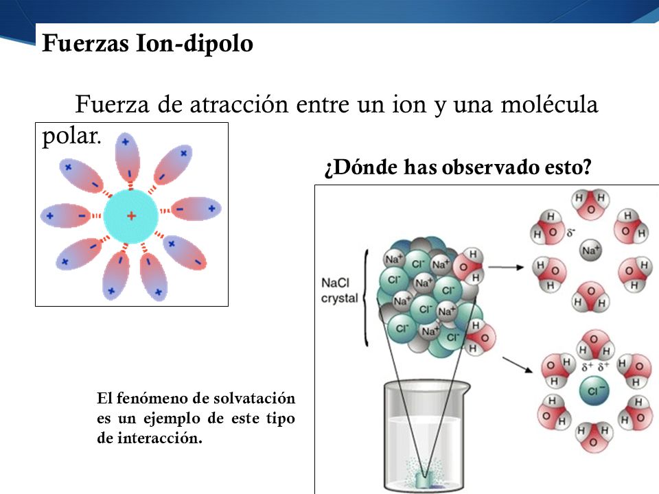Fuerza de atracción entre un ion y una molécula polar.