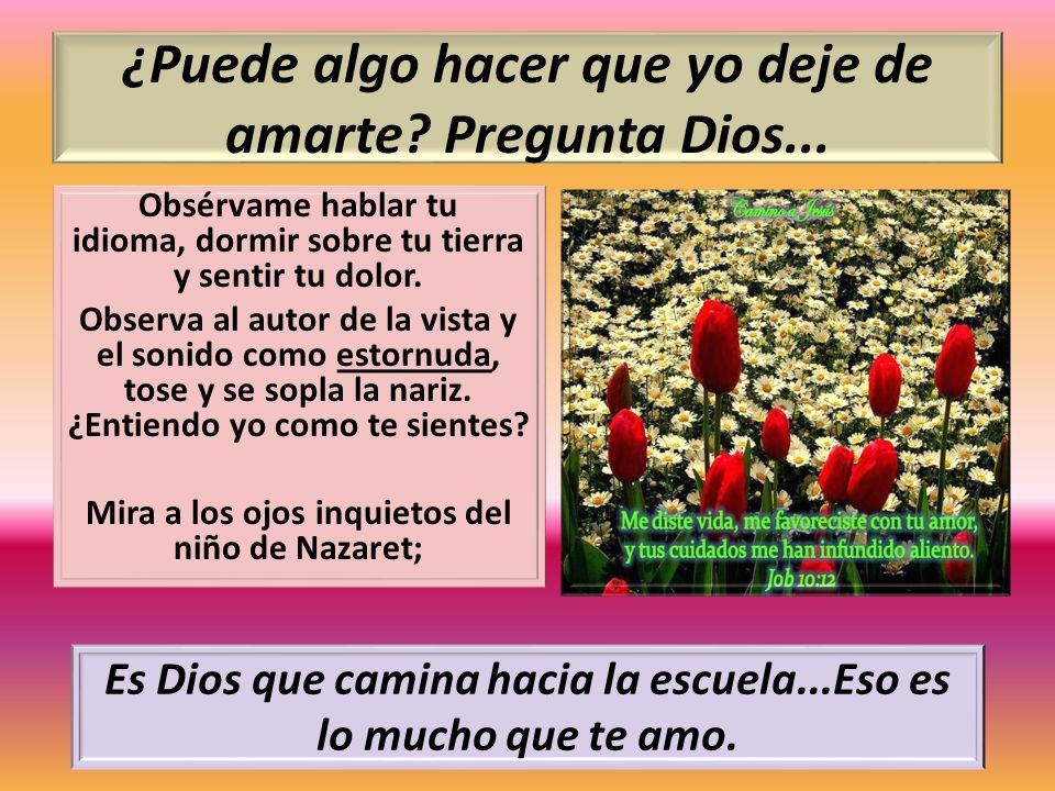¿Puede algo hacer que yo deje de amarte Pregunta Dios...