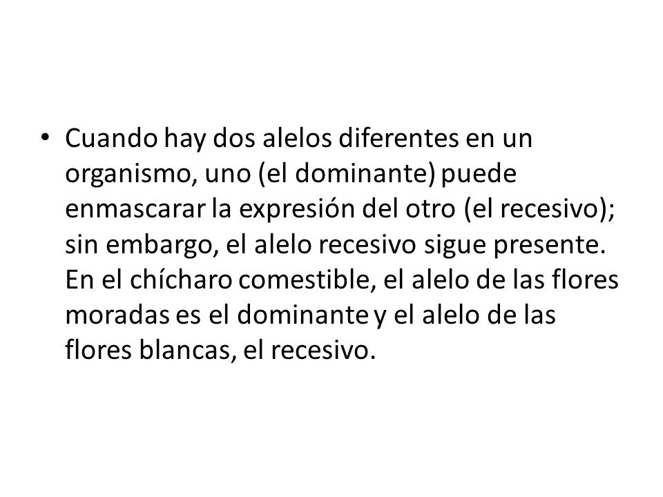 Cuando hay dos alelos diferentes en un organismo, uno (el dominante) puede enmascarar la expresión del otro (el recesivo); sin embargo, el alelo recesivo sigue presente.