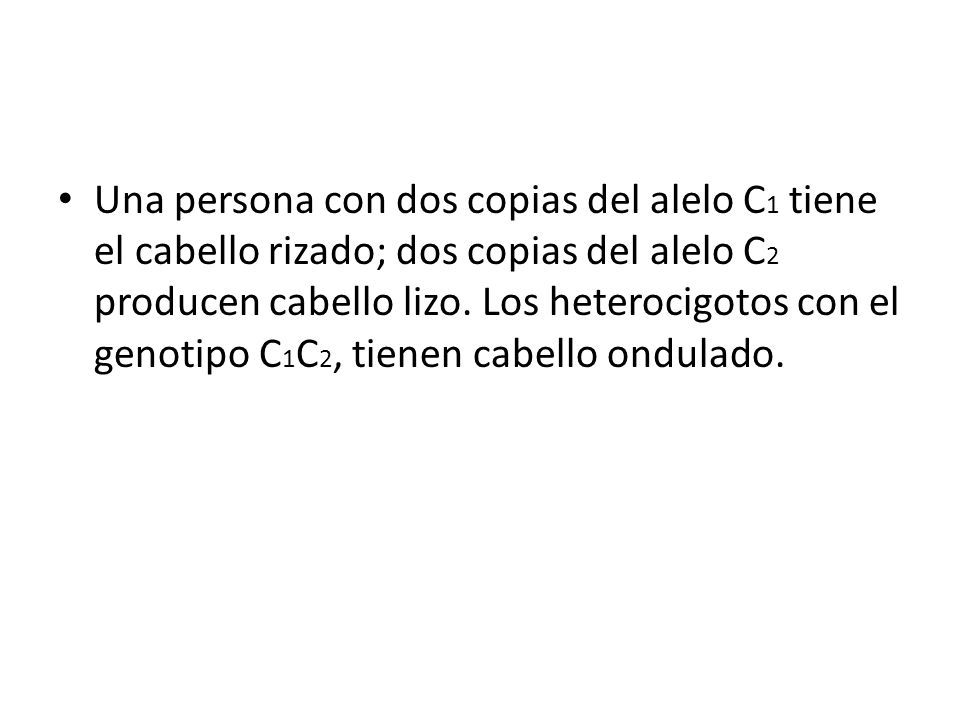 Una persona con dos copias del alelo C1 tiene el cabello rizado; dos copias del alelo C2 producen cabello lizo.