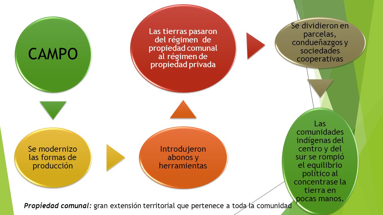 CAMPO Se modernizo las formas de producción. Introdujeron abonos y herramientas.