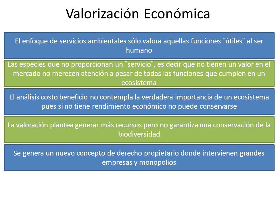 Valorización Económica