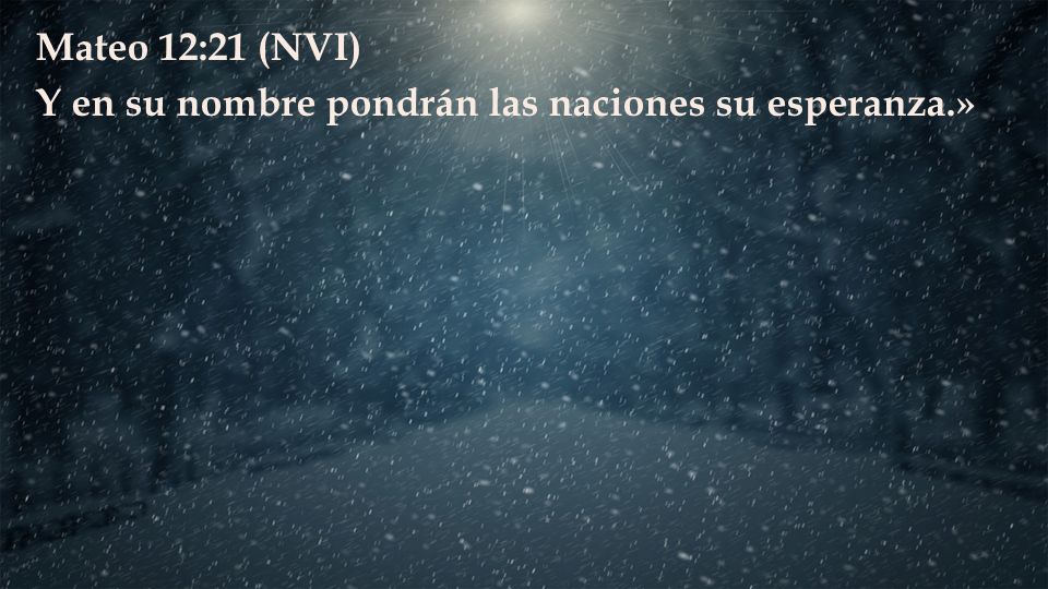 Mateo 12:21 (NVI) Y en su nombre pondrán las naciones su esperanza.»