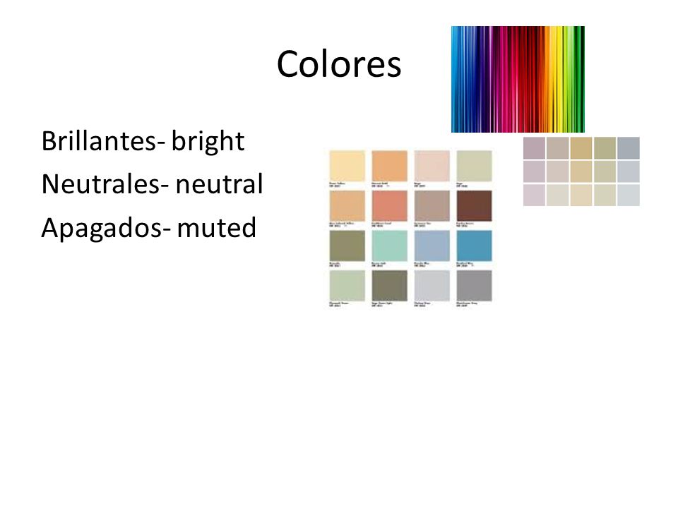 Colores Brillantes- bright Neutrales- neutral Apagados- muted