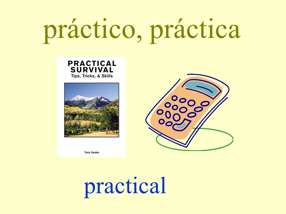 práctico, práctica practical