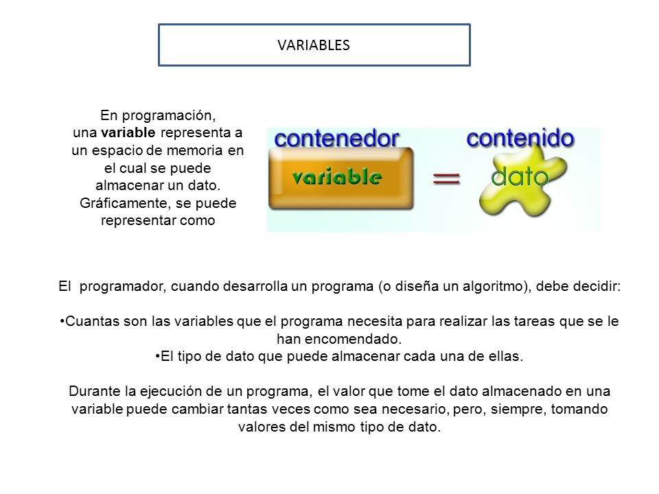 El tipo de dato que puede almacenar cada una de ellas.