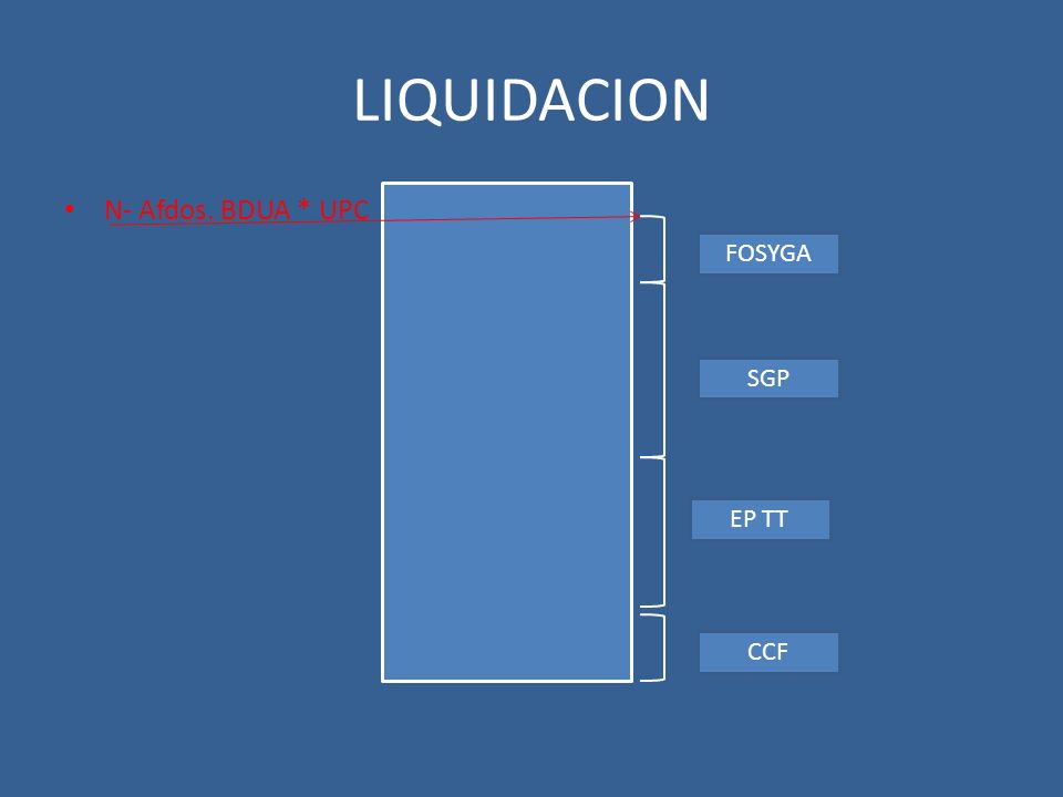 LIQUIDACION N- Afdos. BDUA * UPC FOSYGA SGP EP TT CCF
