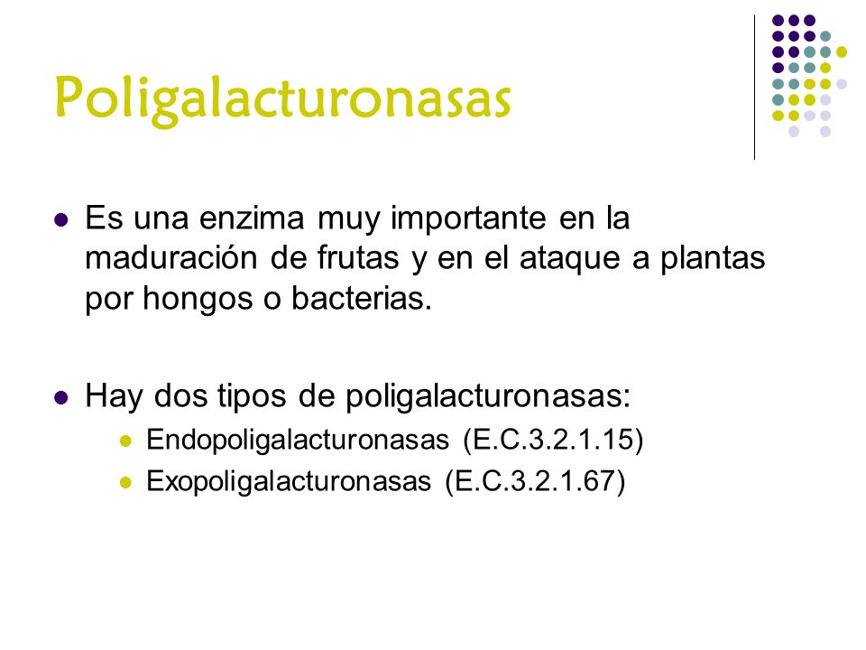 Poligalacturonasas Es una enzima muy importante en la maduración de frutas y en el ataque a plantas por hongos o bacterias.