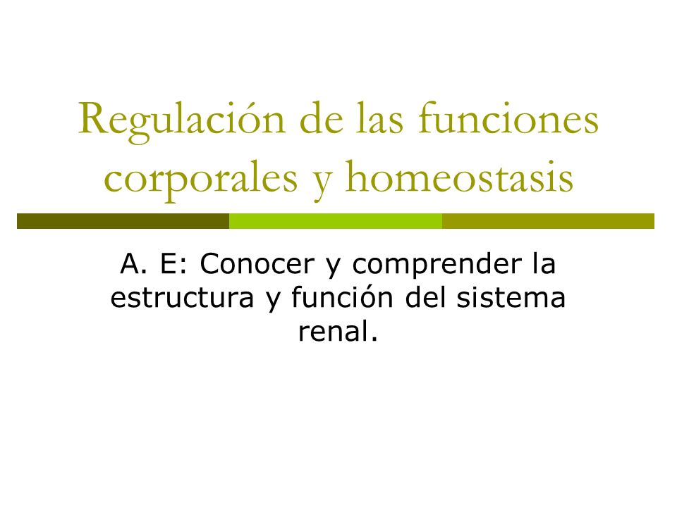 Regulación de las funciones corporales y homeostasis
