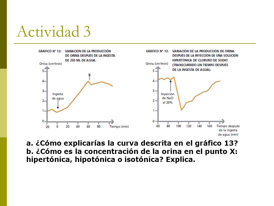 Actividad 3 a. ¿Cómo explicarías la curva descrita en el gráfico 13