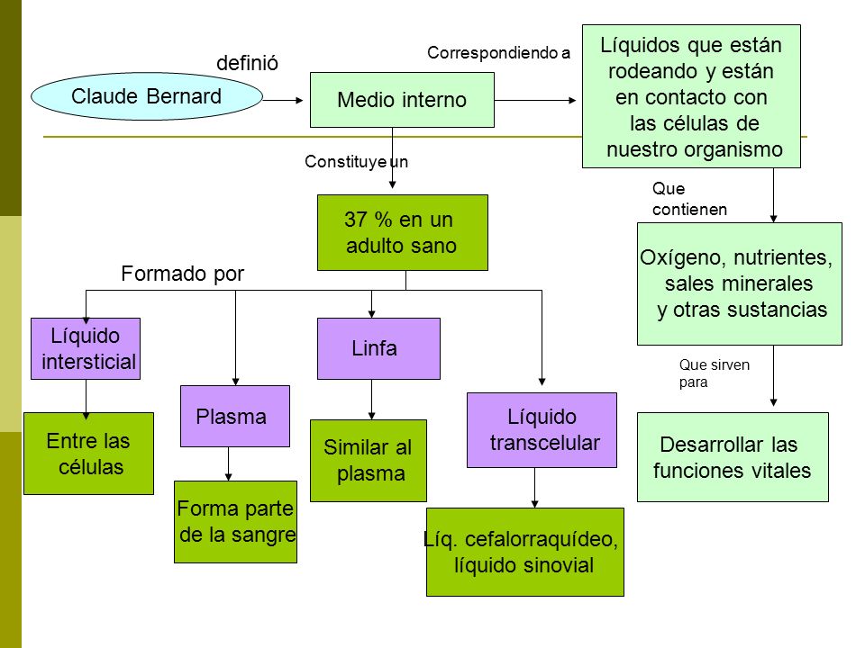 Líquidos que están rodeando y están en contacto con las células de