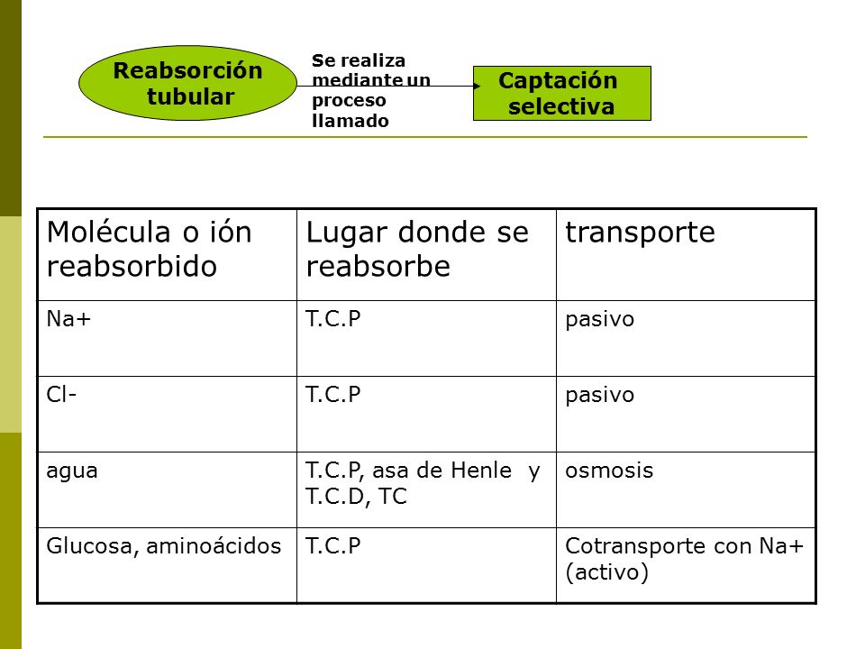 Molécula o ión reabsorbido Lugar donde se reabsorbe transporte