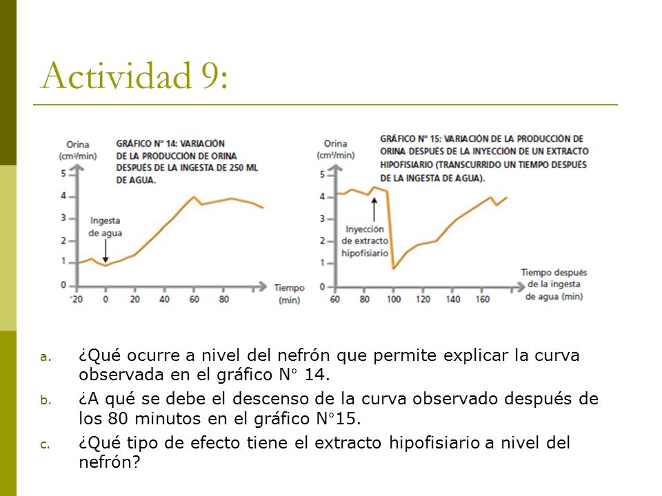 Actividad 9: ¿Qué ocurre a nivel del nefrón que permite explicar la curva observada en el gráfico N° 14.