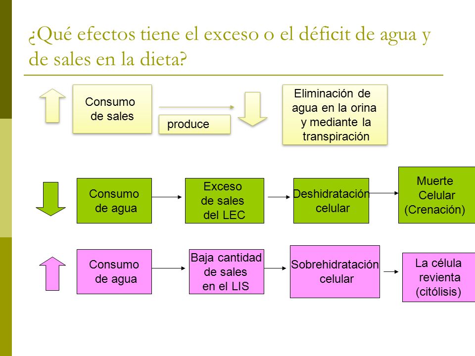 ¿Qué efectos tiene el exceso o el déficit de agua y de sales en la dieta