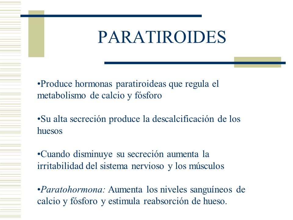 PARATIROIDES Produce hormonas paratiroideas que regula el metabolismo de calcio y fósforo.