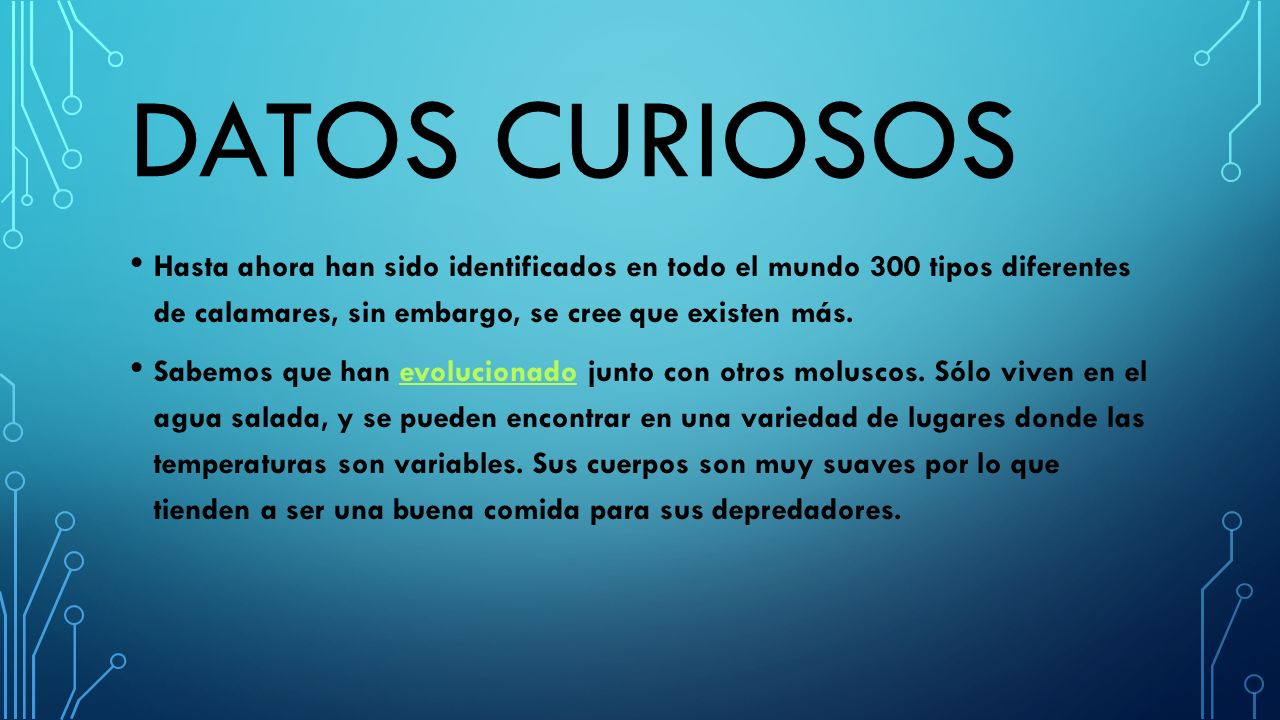 Datos CURIOSOS Hasta ahora han sido identificados en todo el mundo 300 tipos diferentes de calamares, sin embargo, se cree que existen más.