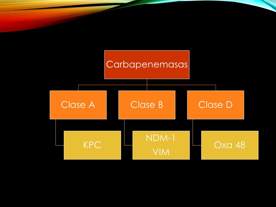 Carbapenemasas Clase A KPC Clase B NDM-1 VIM Clase D Oxa 48