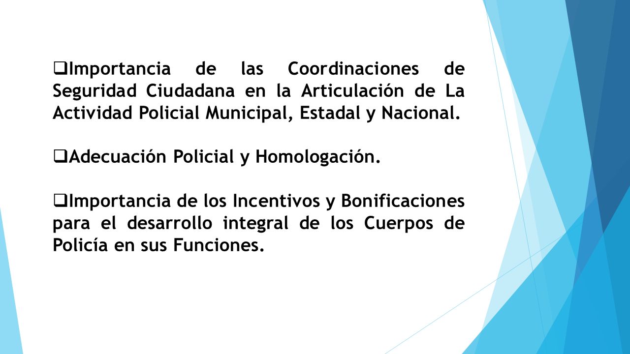 Importancia de las Coordinaciones de Seguridad Ciudadana en la Articulación de La Actividad Policial Municipal, Estadal y Nacional.