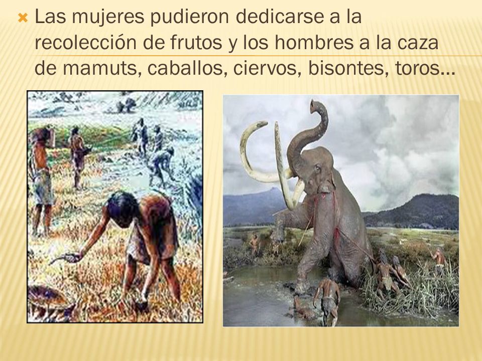 Las mujeres pudieron dedicarse a la recolección de frutos y los hombres a la caza de mamuts, caballos, ciervos, bisontes, toros…