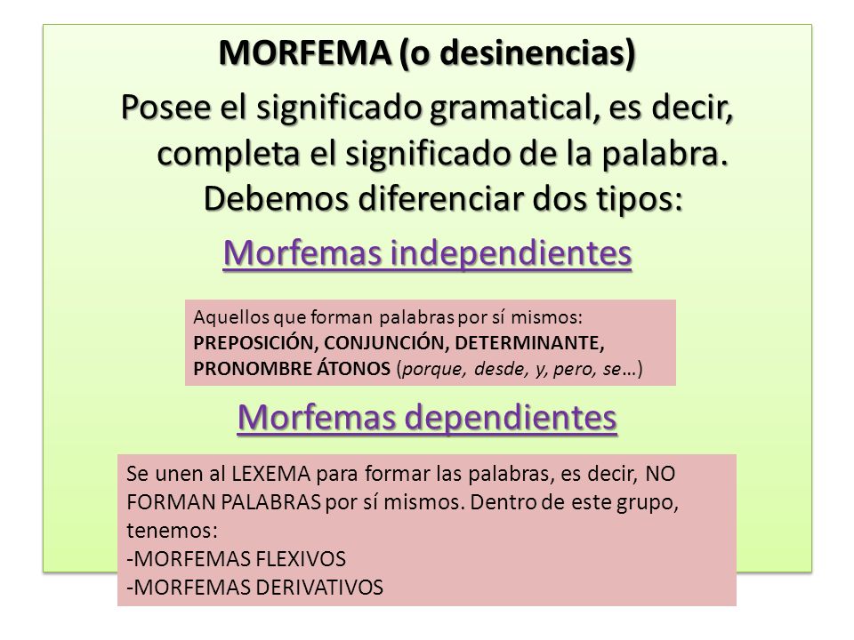 MORFEMA (o desinencias) Posee el significado gramatical, es decir, completa el significado de la palabra. Debemos diferenciar dos tipos: Morfemas independientes Morfemas dependientes