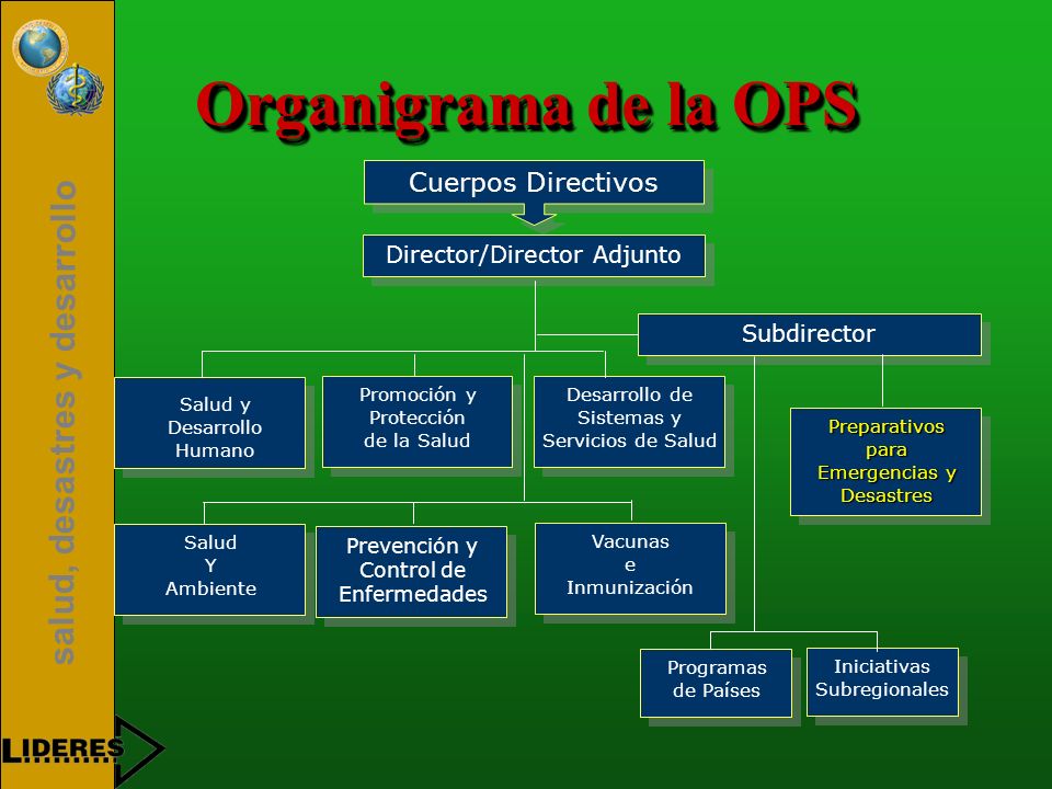 Organigrama de la OPS Cuerpos Directivos Director/Director Adjunto