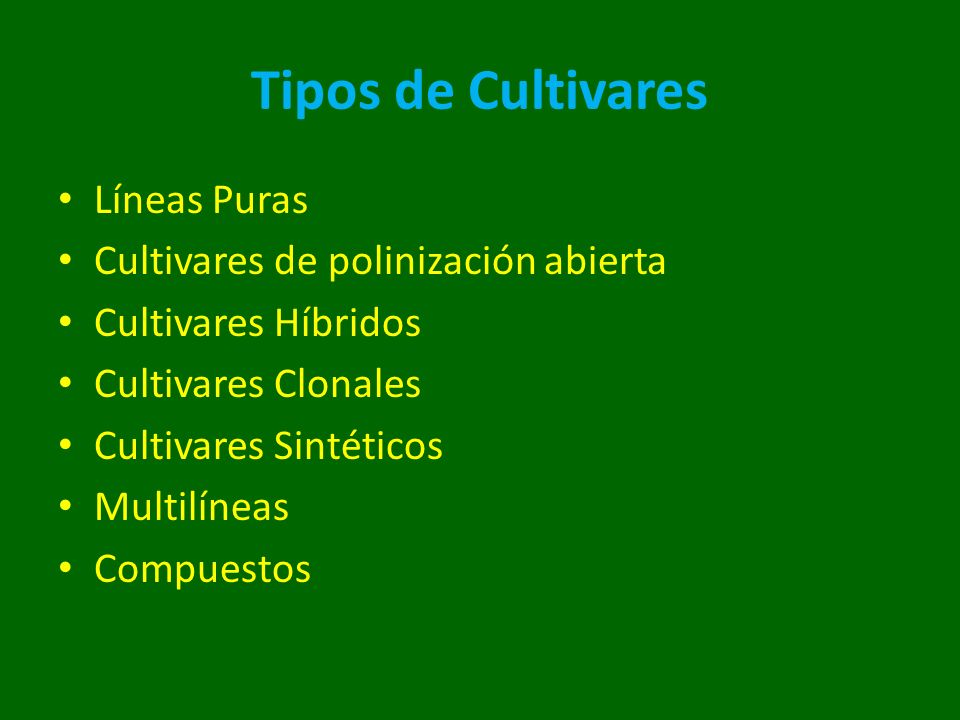 Tipos de Cultivares Líneas Puras Cultivares de polinización abierta